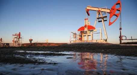 Россия к середине декабря нарастила добычу нефти на 0,2%