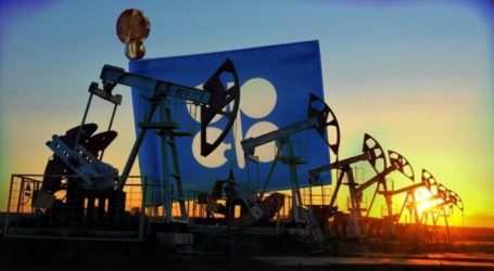 Цены на нефть колеблются в ожидании решений ОПЕК+