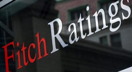Fitch Ratings cuts oil, gas price assumptions on coronavirus, price war