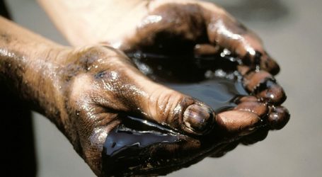 В турецкой Адане найдена нефть на $1 млрд