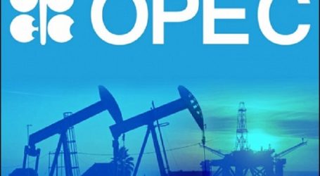 ОПЕК почти не ожидает роста спроса на нефть в мире в 2020 г