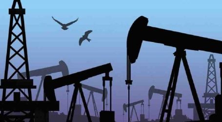 Россия резко сократила добычу и экспорт нефти