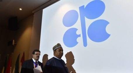Глава ОПЕК высказался против сокращения инвестиций в производство энергии из нефти и газа