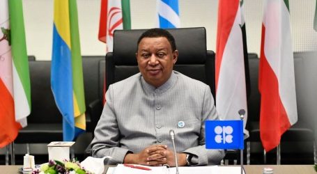OPEC: Dünya neft bazarında qıtlıq müşahidə olunmur