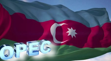 ОПЕК обнародовала прогноз по добыче нефти в Азербайджане на следующий год