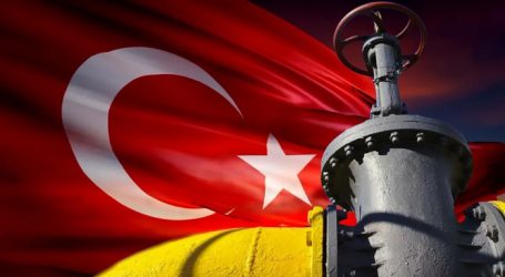 Турция в 2020 году увеличила импорт газа почти на 7%