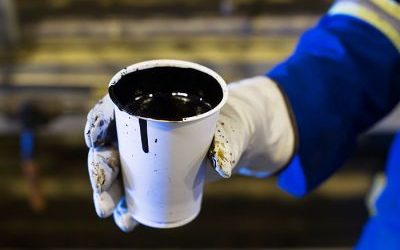 Forbes Compiles Rating of Largest Buyers of Russian Oil