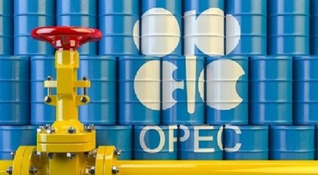 ОПЕК ожидает сильнейшего в истории падения спроса на нефть в 2020 г
