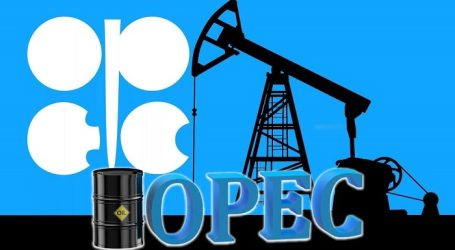 ОПЕК сохранила прогноз по росту спроса на нефть в мире в 2021 году