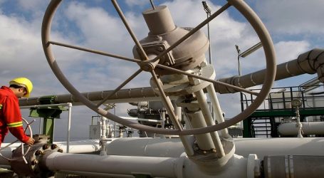 Турция продлила контракты на импорт газа из России