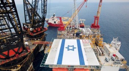 Турция и Израиль обсуждают поставки газа с месторождения Левиафан в Европу
