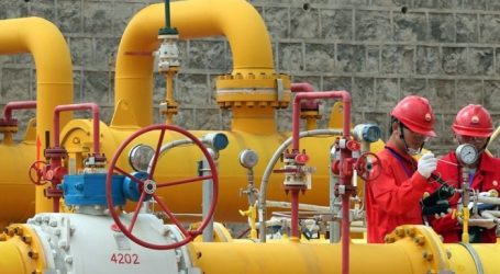 Data on export volumes of Turkmen gas to China published