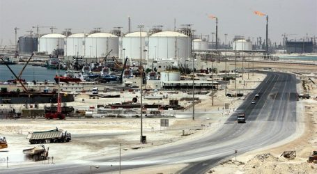 Катар оценил возможность восполнить нужные ЕС объемы газа
