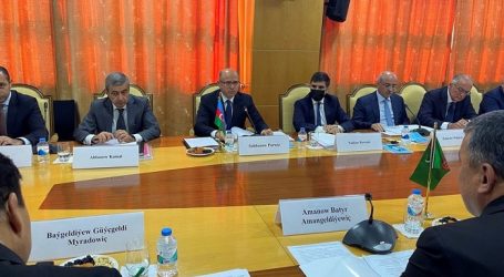 Delegation of Azerbaijani Energy Ministry visits Turkmenistan