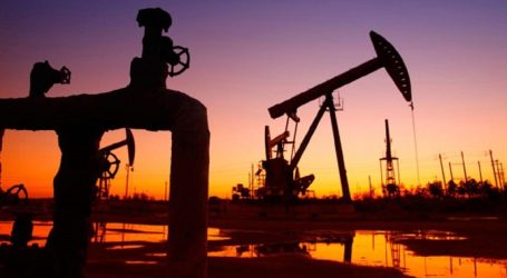 Торги открылись падением цен на нефть