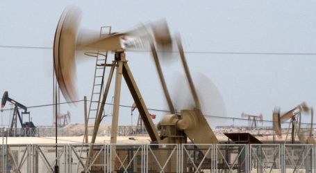 В следующем году ожидается рост добычи нефти в Иране