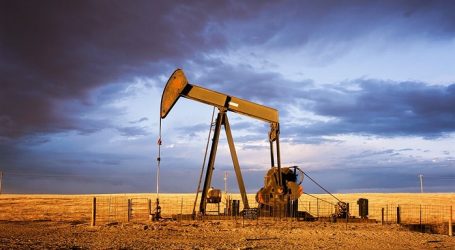 Стоимость нефти выросла в ожидании увеличения спроса