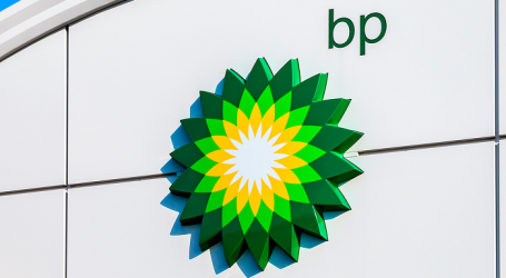 BP AYDS-i layihəsi üzrə ictimaiyyətlə açıq virtual görüş keçirəcək