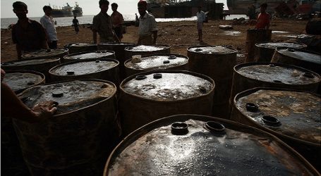 Бразилия договорилась о поставках 12 млн баррелей нефти в Индию