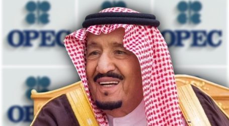 Саудовский принц: осторожная политика ОПЕК+ оправдала себя