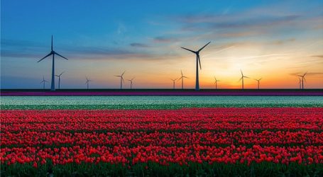 Ветровую электростанцию на 500 МВт построят в Навоийской области