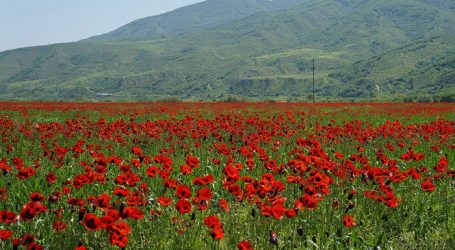 Деоккупация Карабаха внесет свой вклад в развитие ВИЭ в Азербайджане — Минэнерго