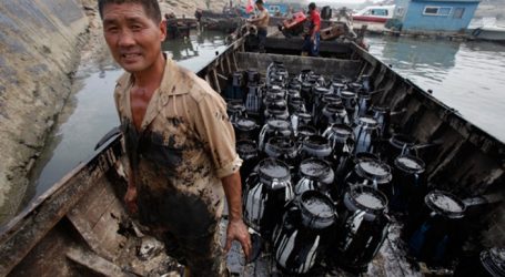 Çində neft hasilatı artıb