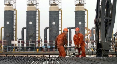 China November crude throughput hits daily record: Reuters