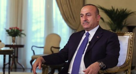 Cavusoglu: Turkiye expected to take initiative on exports of Azerbaijani gas to world markets