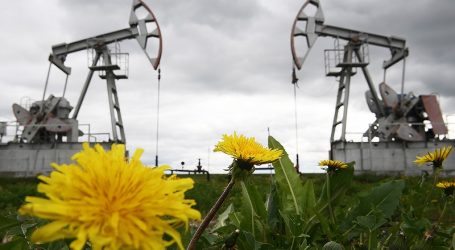 Финляндия снижает закупки нефти РФ на фоне перехода к зелёной экономике