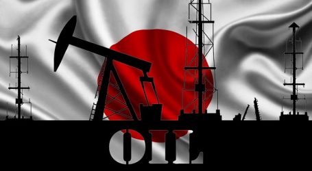 Цены на нефть в Японии достигли максимума с 2008 года