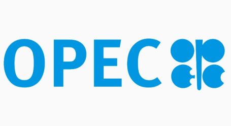 OPEC Azərbaycanda maye karbohidrogenlər üzrə hasilat proqnozunu artırıb