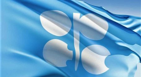 Energetika naziri: “OPEC+”un təklifin tənzimlənməsi siyasəti özünü doğruldur
