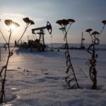 Россия сократила добычу нефти на 133 тыс. баррелей