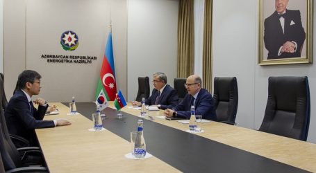 Корейские компании заинтересованы участвовать в проектах в Азербайджане